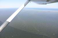 Las aguas marinas cubiertas del crudo derramado por BP cerca de Southwest Pass, en Louisiana.  / Crdito:Erika Blumenfeld/IPS