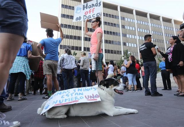 Numerosas universidades critican el fin del DACA y apoyan a los inmigrantes