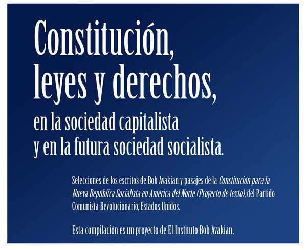 Constitucin, leyes y derechos