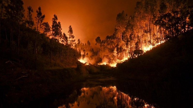 incendios forestales